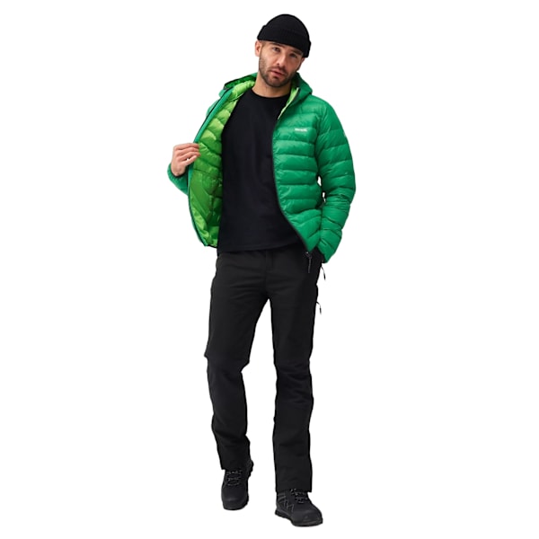 Regatta Marizion Vadderad Jacka med Huva för Män M Field Gree Field Green/Jasmine Green M