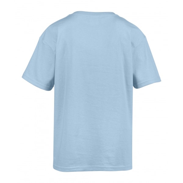 Gildan Mens Softstyle T-Shirt L Baby Blue Baby Blue L