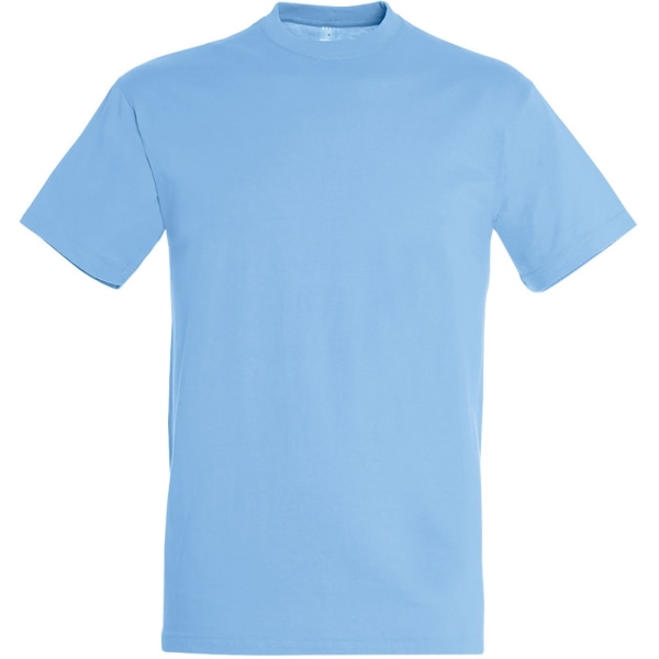 SOLS Regent kortärmad t-shirt för män 3XL himmelsblå Sky Blue 3XL