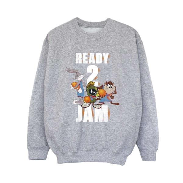 Space Jam: A New Legacy Boys Ready 2 Jam Sweatshirt 5-6 år S Sports Grey 5-6 Years