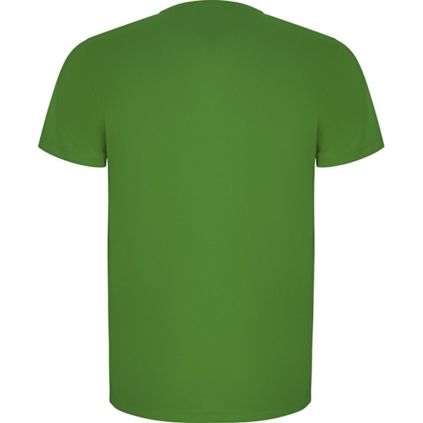 Roly herr Imola kortärmad sport T-shirt S Fern Green Fern Green S