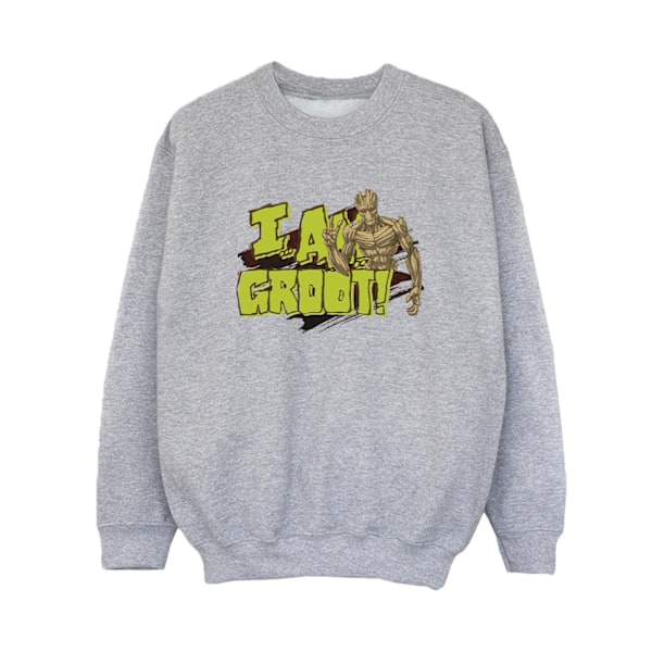 Guardians Of The Galaxy Boys I Am Groot Sweatshirt 3-4 År Sp Sports Grey 3-4 Years