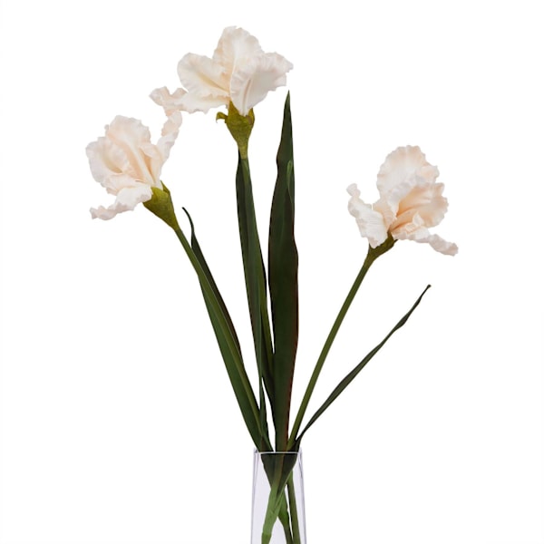 Hill Interiors The Natural Garden Collection Fringed Iris Konstgjord Pale Apricot One Size