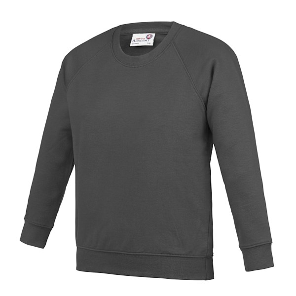 AWDis Academy Barn/Barn Crew Neck Raglan Skolsweatshirt Charcoal 9-10 Years