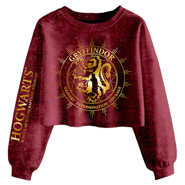 Harry Potter Dam/Kvinnor Gryffindor Constellation Acid Wash C Maroon XL