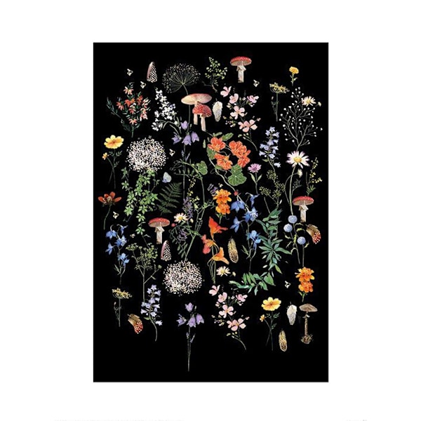 Summer Thornton Wild Walk Poster 60cm x 80cm Multifärgad Multicoloured 60cm x 80cm