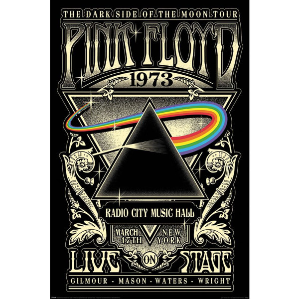 Pink Floyd Dark Side Of The Moon Poster One Size Svart/Silver Black/Silver One Size