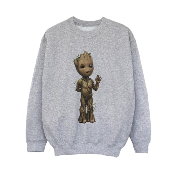 Marvel Boys I Am Groot Wave Pose Sweatshirt 9-11 år Sports G Sports Grey 9-11 Years