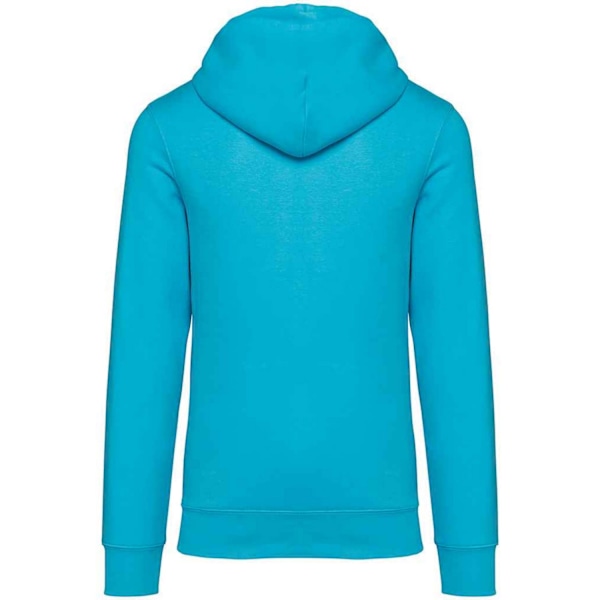 Native Spirit Unisex Vuxen Heavyweight Hoodie S Ljus Turkos Light Turquoise S