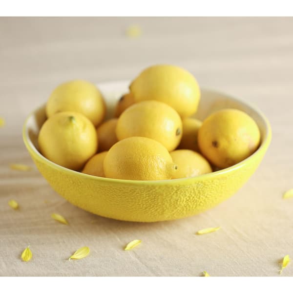 Hestia Citron Serveringsskål En Storlek Gul Yellow One Size