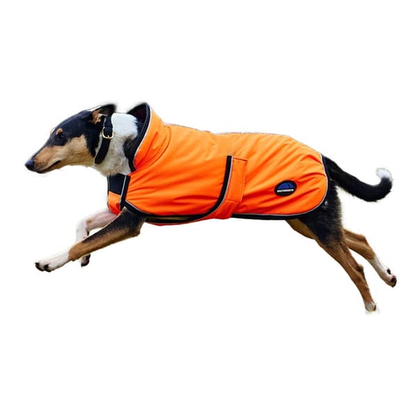 Weatherbeeta Comfitec Deluxe Reflekterande Duschsäker Hundtäcke 70 Orange 70cm