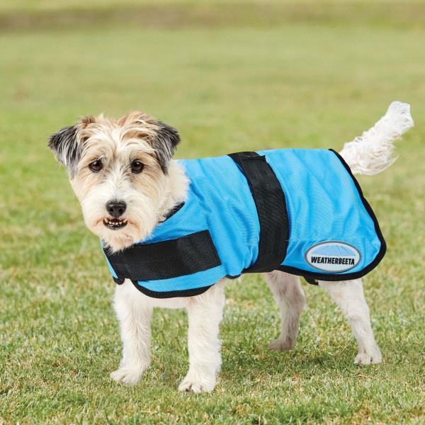 Weatherbeeta Therapy-Tec Dog Cooling Coat 70cm Blå Blue 70cm