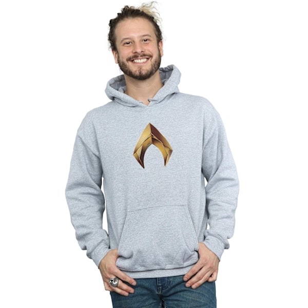 DC Comics Herr Aquaman Emblem Hoodie M Sports Grey Sports Grey M