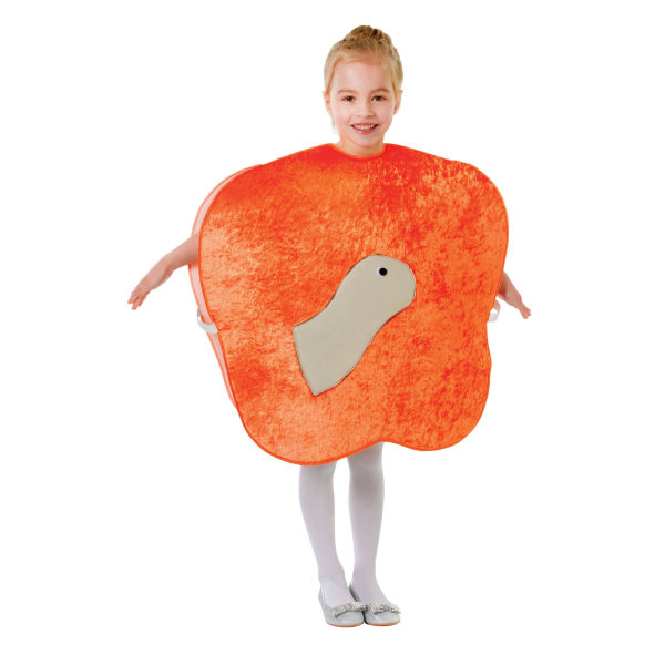 Bristol Novelty Childrens/Kids Giant Peach And Worm Costume One Orange One Size