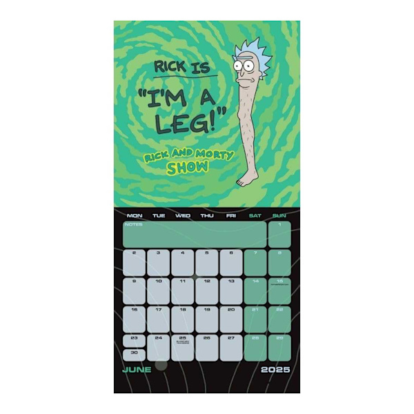 Rick And Morty 2025 Fyrkantig Väggkalender One Size Flerfärgad Multicoloured One Size