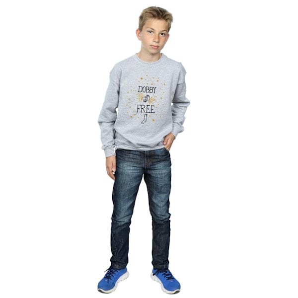 Harry Potter Boys Dobby Is Sweatshirt 12-13 år Sports G Sports Grey 12-13 Years