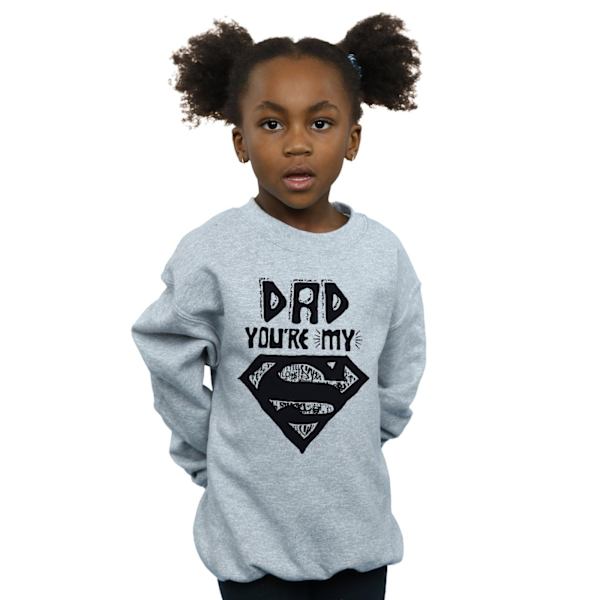 DC Comics Girls Superman Super Dad Sweatshirt 12-13 år Sport Sports Grey 12-13 Years