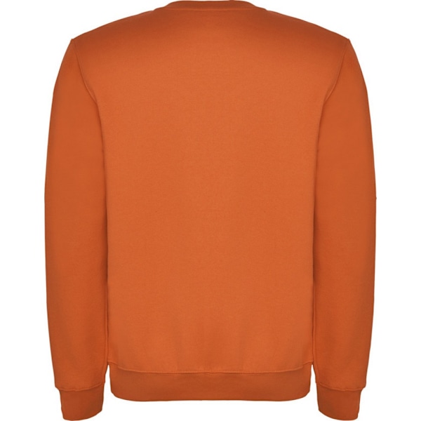 Roly Barn/Barn Clasica Crew Neck Sweatshirt 11-12 År Eller Orange 11-12 Years