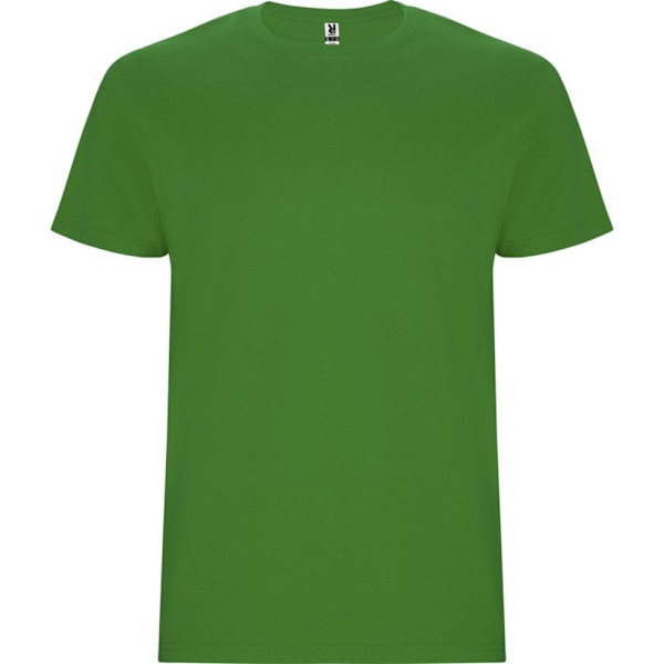 Roly Barn/Barn Stafford Kortärmad T-shirt 3-4 År Gräsgrön Grass Green 3-4 Years