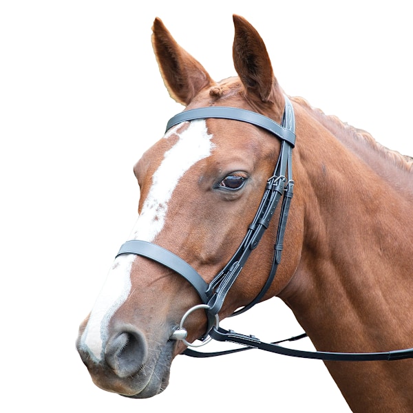 Avignon Hunter Läder Häst Cavesson Bridle Cob Svart Black Cob
