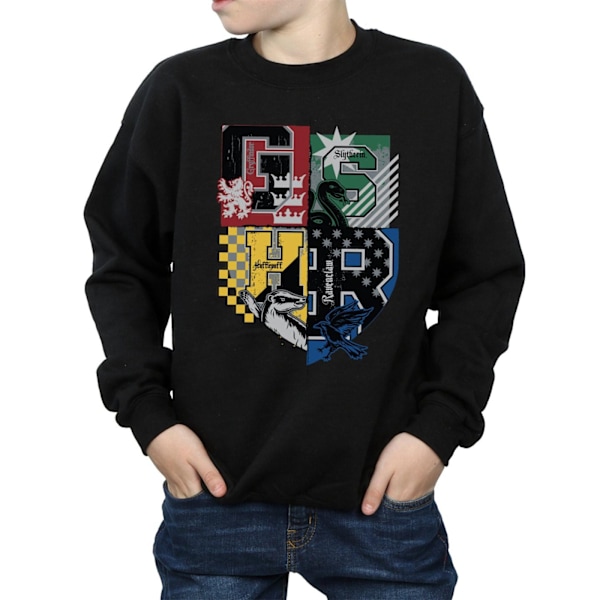 Harry Potter Pojkar Hogwarts Hus Sweatshirt 5-6 År Svart Black 5-6 Years
