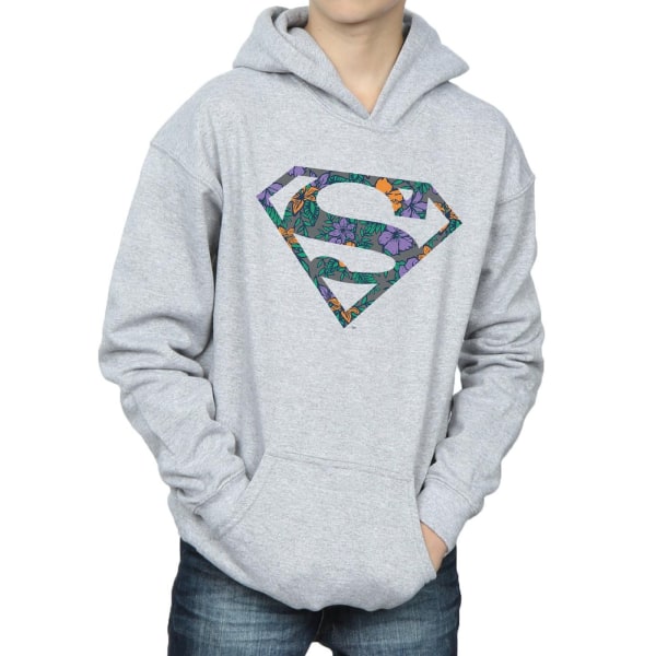 DC Comics Boys Superman Floral Logo 1 Hoodie 5-6 Years Sports G Sports Grey 5-6 Years