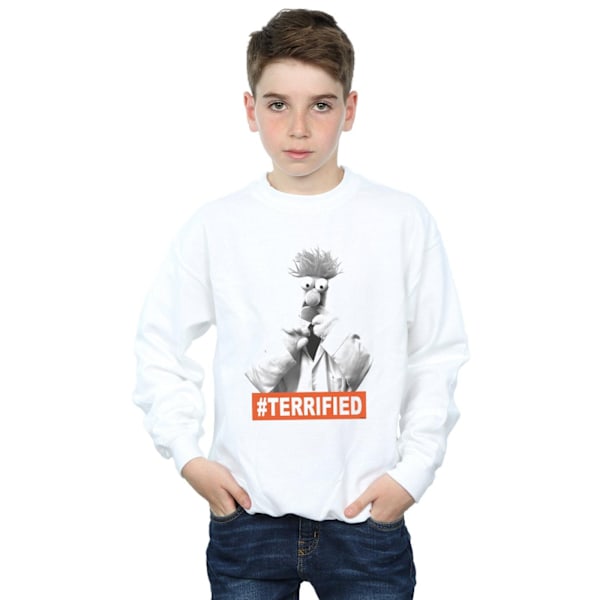 Disney Boys The Muppets Beaker Terrified Sweatshirt 12-13 år White 12-13 Years