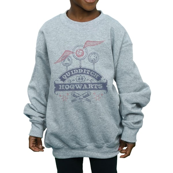 Harry Potter Quidditch på Hogwarts Sweatshirt för flickor 12-13 år Sports Grey 12-13 Years