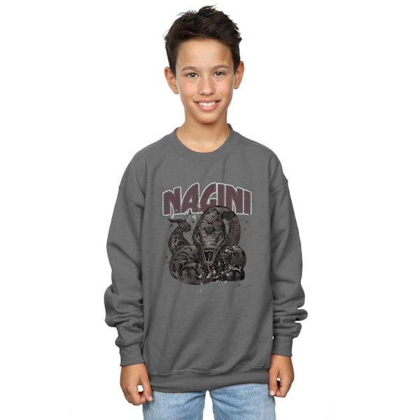 Harry Potter Boys Nagini Splats Sweatshirt 5-6 år Kol Charcoal 5-6 Years