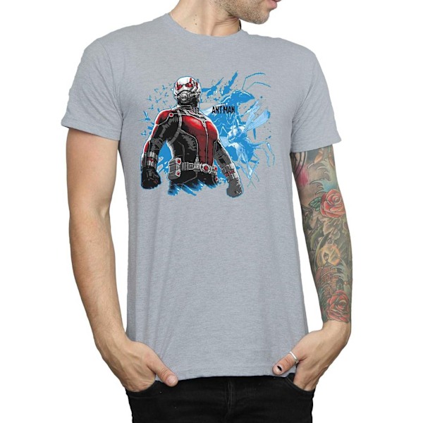 Ant-Man Herr Stående Bomulls T-shirt M Sportgrå Sports Grey M
