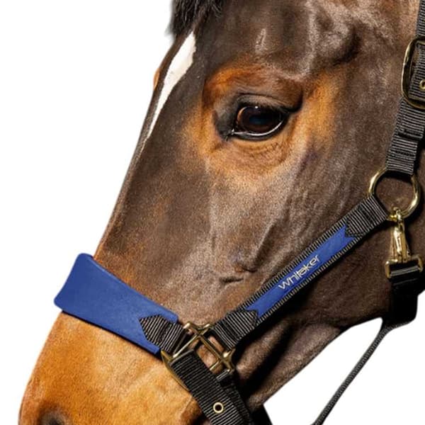 Whitaker Harewood Hästhuvudkrage Full Navy Navy Full