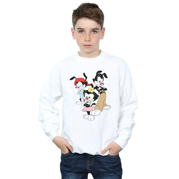 Animaniacs Boys Dot Wakko And Yakko Sweatshirt 9-11 År Vit White 9-11 Years