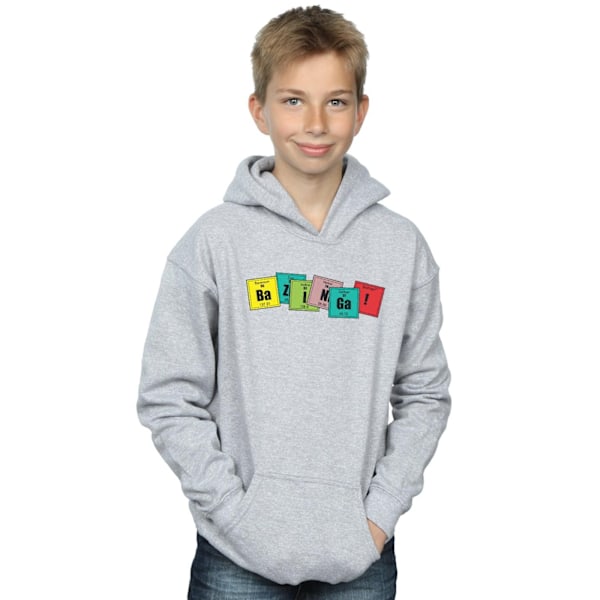 The Big Bang Theory Boys Bazinga Elements Hoodie 12-13 År Sp Sports Grey 12-13 Years