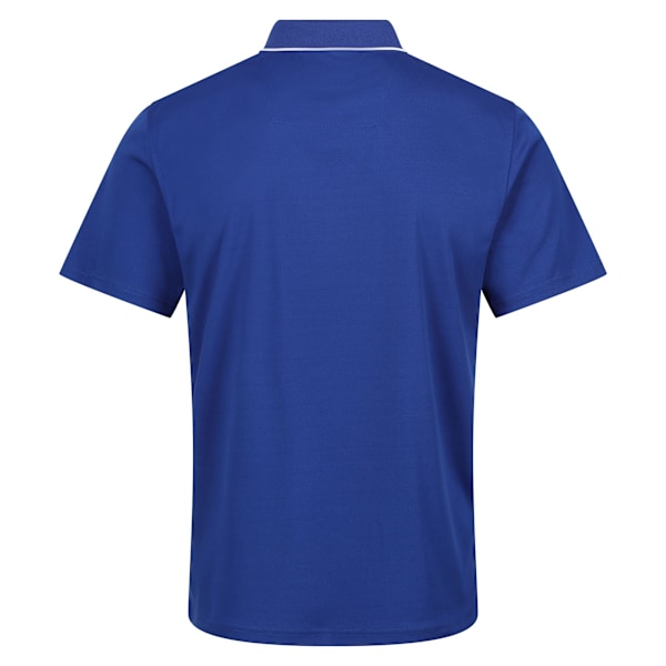 Regatta Maverick V Aktiv Poloshirt för Herrar M Ny Royal New Royal M