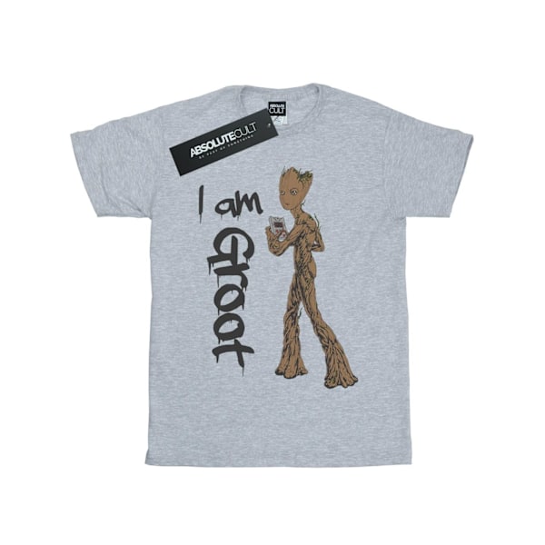 Marvel Dam/Kvinnor Avengers Infinity War Graffiti Groot Cotto Sports Grey M