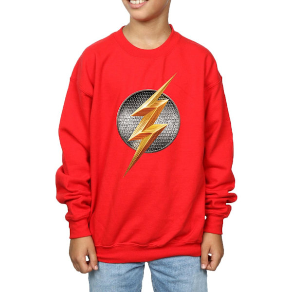 DC Comics Boys Justice League Movie Flash Emblem Sweatshirt 5-6 Red 5-6 Years