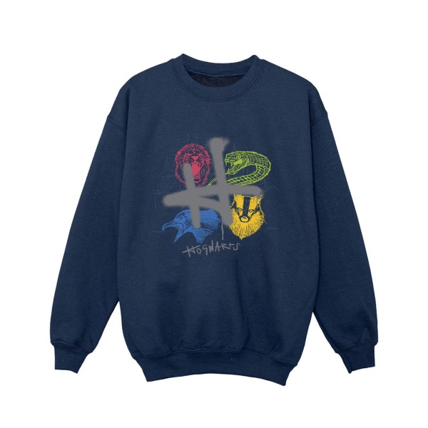 Harry Potter Girls Emblems H Spray Sweatshirt 3-4 år Marinblå Navy Blue 3-4 Years