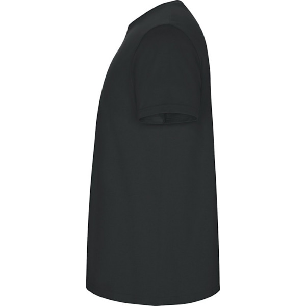 Roly Stafford T-shirt L Mörk Bly Dark Lead L