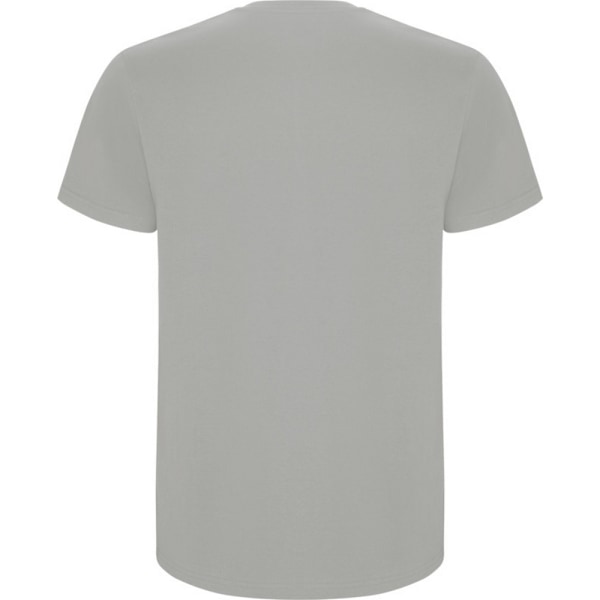 Roly Barn/Barn Stafford Kortärmad T-shirt 3-4 År Op Opal 3-4 Years