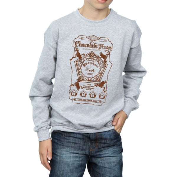 Harry Potter Boys Chocolate Frogs Mono Label Sweatshirt 5-6 år Sports Grey 5-6 Years