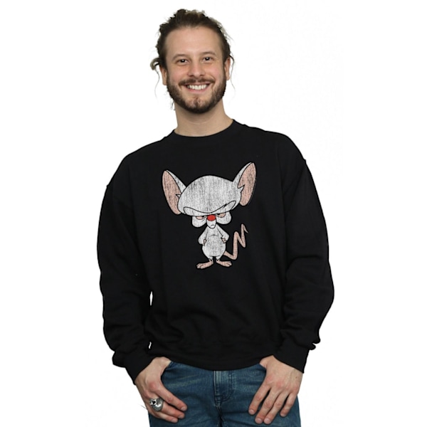 Animaniacs Herr The Brain Klassisk Pose Sweatshirt 4XL Svart Black 4XL