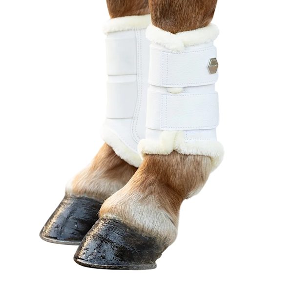 Coldstream Bowden Borstskydd för Häst (2-pack) Full White White Full