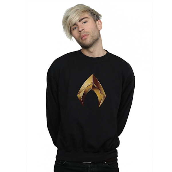 DC Comics Herr Aquaman Emblem Sweatshirt L Svart Black L