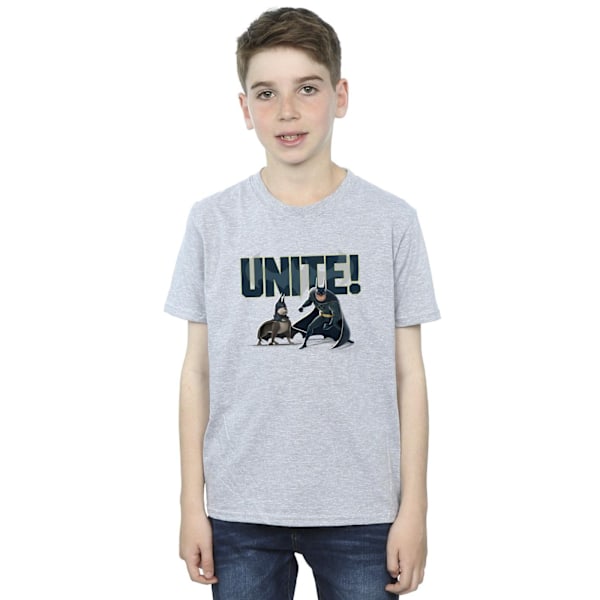 DC Comics Boys DC Comics DC League Of Super-Pets Unite Par T-S Sports Grey 12-13 Years