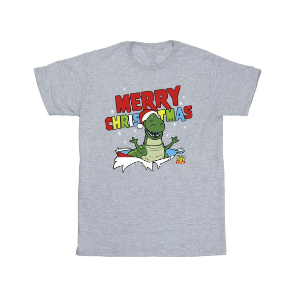 Disney Boys Toy Story Rex Christmas Burst T-shirt 3-4 år Spo Sports Grey 3-4 Years