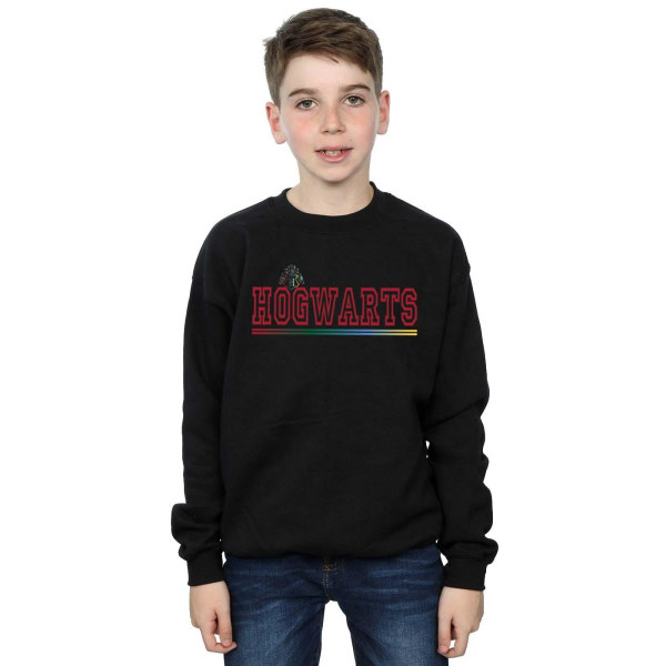 Harry Potter Boys Hogwarts Collegial Sweatshirt 7-8 år Svart Black 7-8 Years