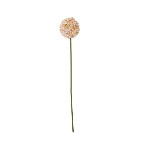 Hill Interiors The Natural Garden Collection Allium Konstgjord Apricot/White One Size