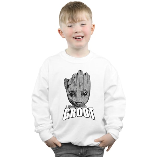 Marvel Boys Guardians Of The Galaxy Groot Face Sweatshirt 7-8 år White 7-8 Years