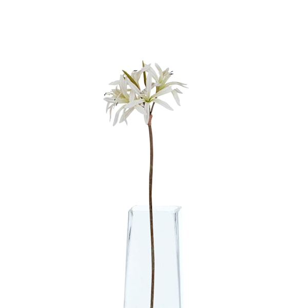 Hill Interiors The Natural Garden Collection Nerine Lily Konstgjord White One Size