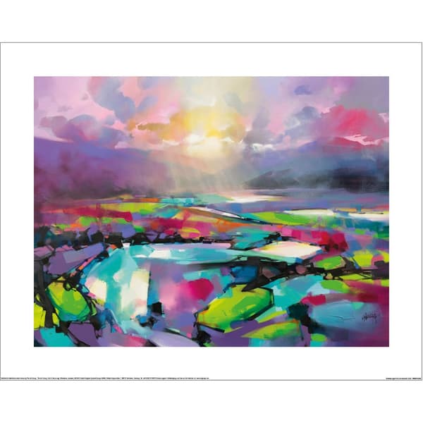 Scott Naismith Sublime Light Konsttryck 60cm x 80cm Flerfärgad Multicoloured 60cm x 80cm